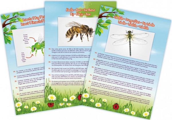 Joc Aspiratorul de insecte