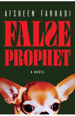 Coperta cărții 'False Prophet - Afsheen Farhadi'