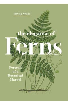 Coperta cărții 'The Elegance of Ferns: Portrait of a Botanical Marvel - Solvejg Nitzke'