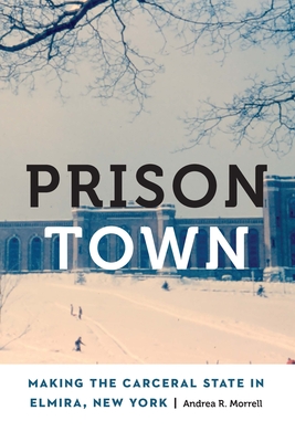 Prison Town: Making the Carceral State in Elmira, New York - Andrea R. Morrell