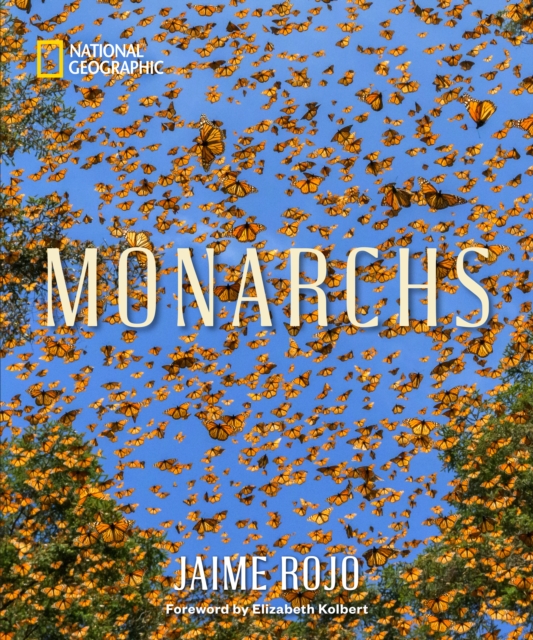 Coperta cărții 'Monarchs - Jaime Rojo'