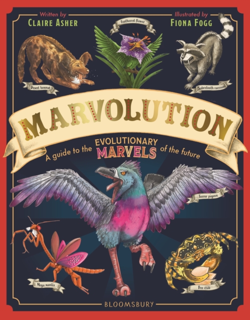 Coperta cărții 'Marvolution - Dr Claire Asher'