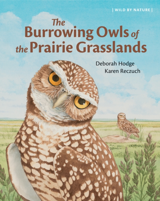 Coperta cărții 'The Burrowing Owls of the Prairie Grasslands - Deborah Hodge'