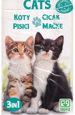 Poza produsului Joc de carti 3 in 1: Cats