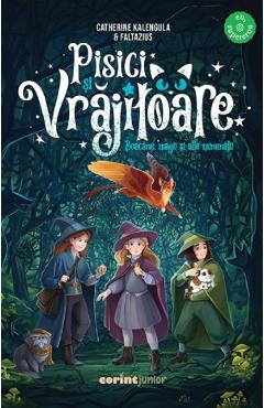 Poza produsului Pisici si vrajitoare. Boacane, magii si alte minunatii - Catherine Kalengula