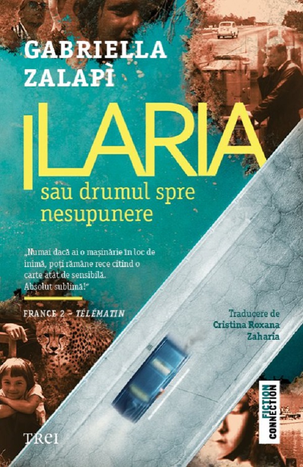 Ilaria sau drumul spre nesupunere - Gabriella Zalapi