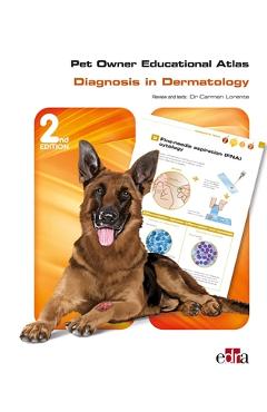 Coperta cărții 'Diagnosis in Dermatology / Review Dr Carmen Lorente - Carmen Lorente'