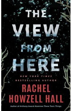 Coperta cărții 'The View from Here: A Thriller - Rachel Howzell Hall'