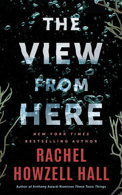 Coperta cărții 'The View from Here: A Thriller - Rachel Howzell Hall'