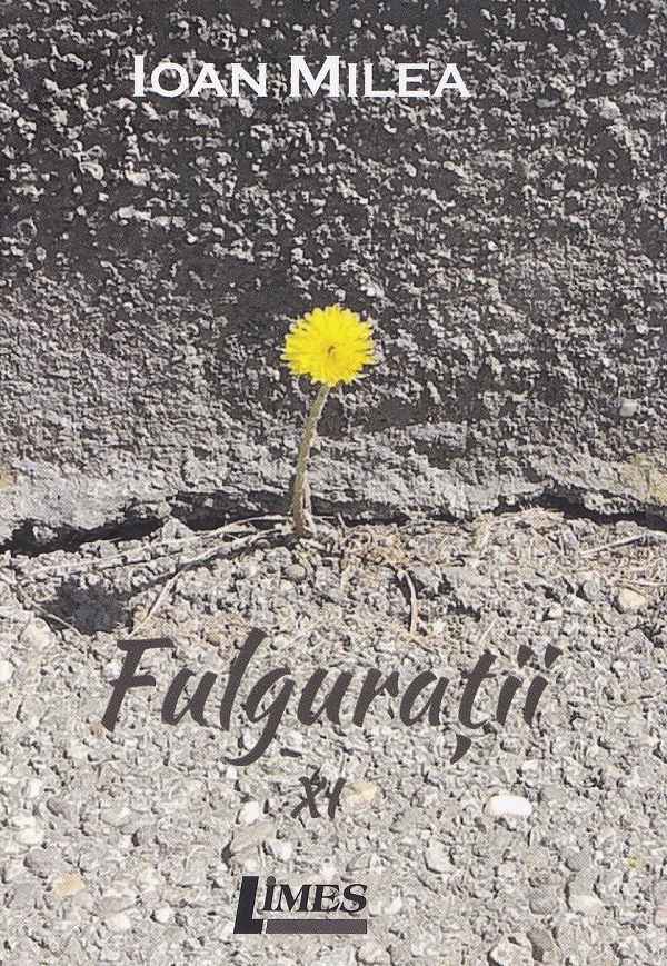 Coperta cărții 'Fulgurații Vol.11 - Ioan Milea'