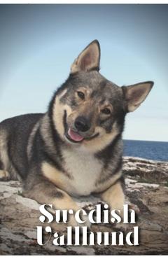 Coperta cărții 'Swedish Vallhund: Dog breed overview and guide - Nina Pustova'