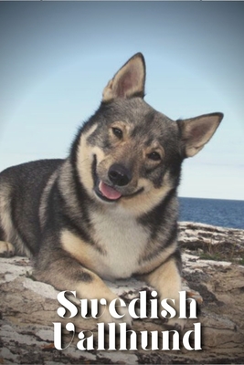 Coperta cărții 'Swedish Vallhund: Dog breed overview and guide - Nina Pustova'