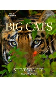 Coperta cărții 'Big Cats - Steve Winter'