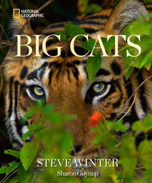 Coperta cărții 'Big Cats - Steve Winter'