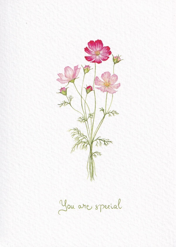 Imaginea produsului 'Felicitare: You are special. Cosmos. Mai Colorat'