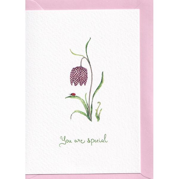 Felicitare: You are special. Lalea pestrita. Mai Colorat