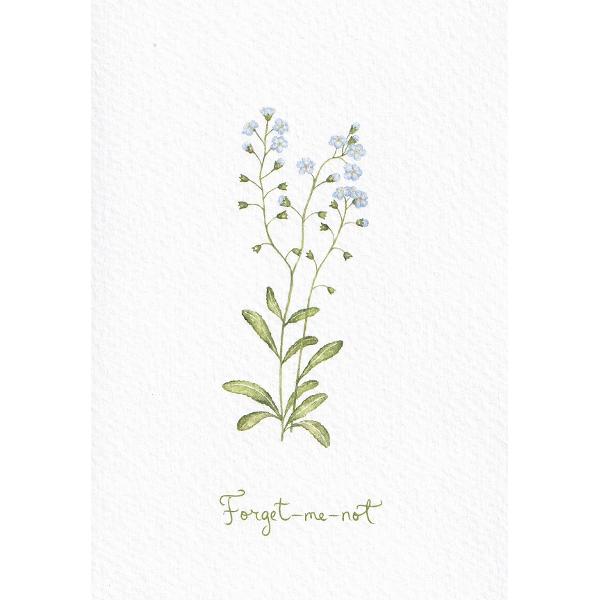 Felicitare: Forget me not. Floare de nu ma uita. Mai Colorat