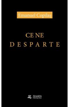 Coperta cărții 'Ce ne desparte. Contribuții la fragmentarea discursului hegemonic postcomunist - Emanuel Copilaș'