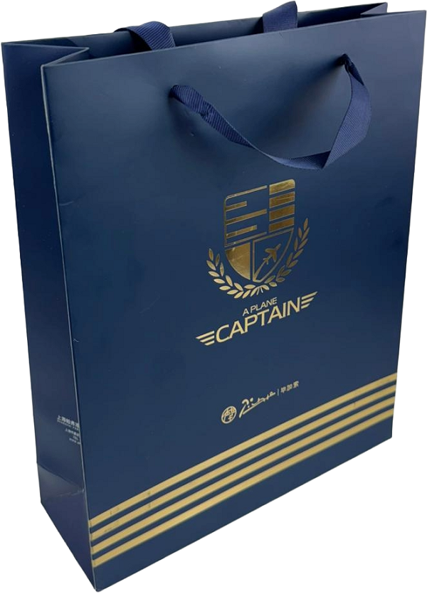 Imaginea produsului 'Set Plane Captain: Stilou albastru + călimară + 2 insigne metalice'