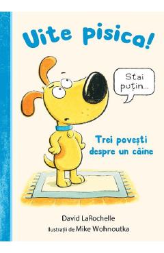 Coperta cărții 'Uite pisica! Trei povești despre un câine - David LaRochelle'