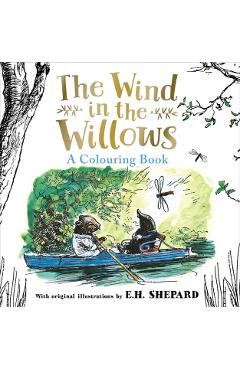 Wind in the Willows Colouring Book