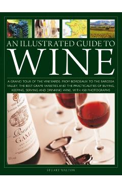 Illustrated Guide to Wine