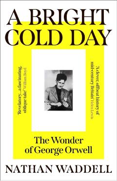 Coperta cărții 'Bright Cold Day - Nathan Waddell'