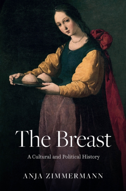 Coperta cărții 'Breast - Anja (university Of Oldenburg Zimmermann'