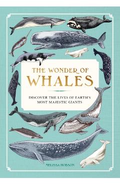 Coperta cărții 'Wonder of Whales - Melissa Hobson'