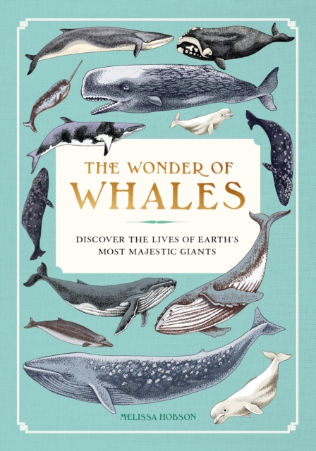 Coperta cărții 'Wonder of Whales - Melissa Hobson'