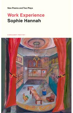 Coperta cărții 'Work Experience - Sophie Hannah'