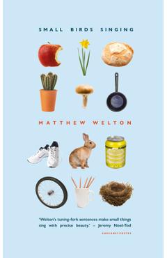 Coperta cărții 'Small Birds Singing - Matthew Welton'