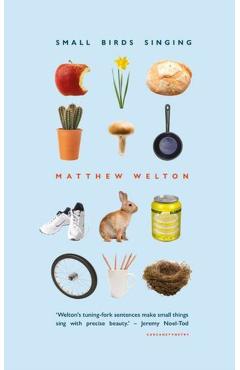 Small Birds Singing - Matthew Welton