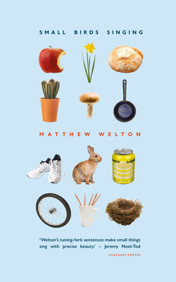 Coperta cărții 'Small Birds Singing - Matthew Welton'