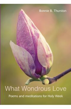 What Wondrous Love