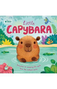 Coperta cărții 'Little Capybara: Little Nature Stories -'