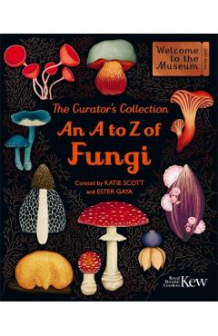 Curator's Collection: An A to Z of Fungi - Ester Gaya