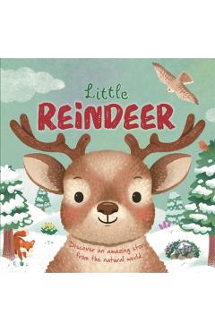 Little Reindeer -