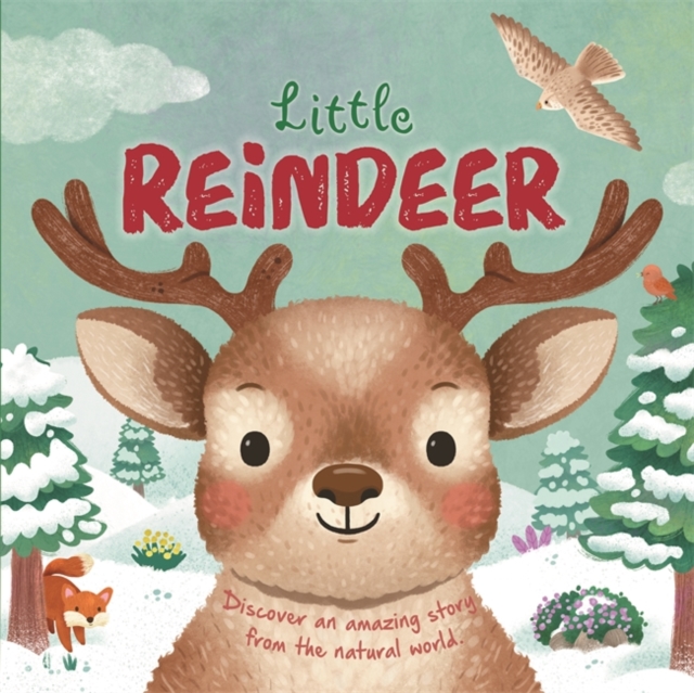 Coperta cărții 'Little Reindeer -'
