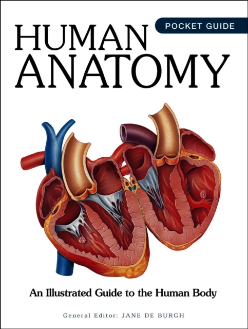 Coperta cărții 'Human Anatomy -'