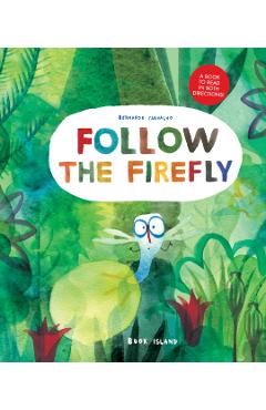 Follow the Firefly/Run, Rabbit, Run - Bernardo Carvalho
