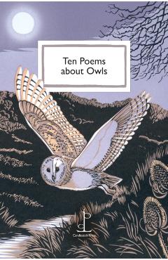 Coperta cărții 'Ten Poems about Owls -'
