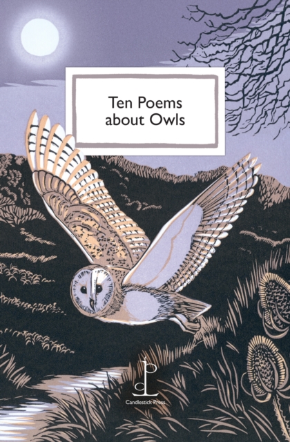 Coperta cărții 'Ten Poems about Owls -'