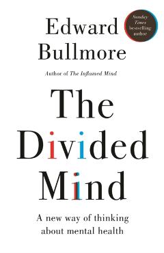 Coperta cărții 'Divided Mind - Professor Edward Bullmore'