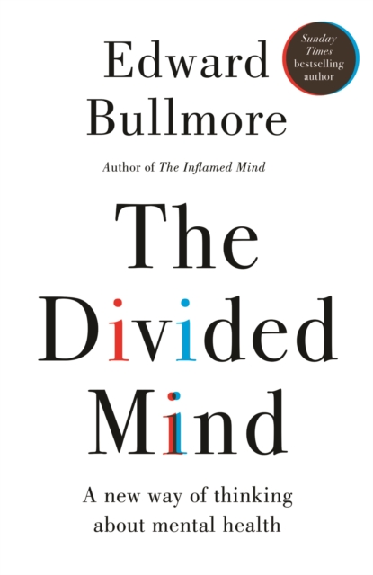 Coperta cărții 'Divided Mind - Professor Edward Bullmore'