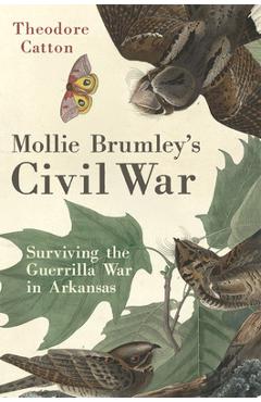 Coperta cărții 'Mollie Brumley's Civil War: Surviving the Guerrilla War in Arkansas - Theodore Catton'