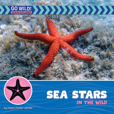 Coperta cărții 'Sea Stars in the Wild - Helen Foster James'