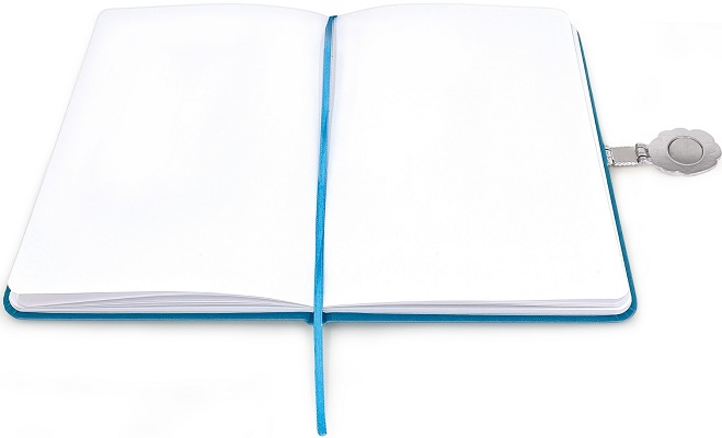 Imaginea produsului 'Jurnal cu închidere magnetică: Floral. Albastru'