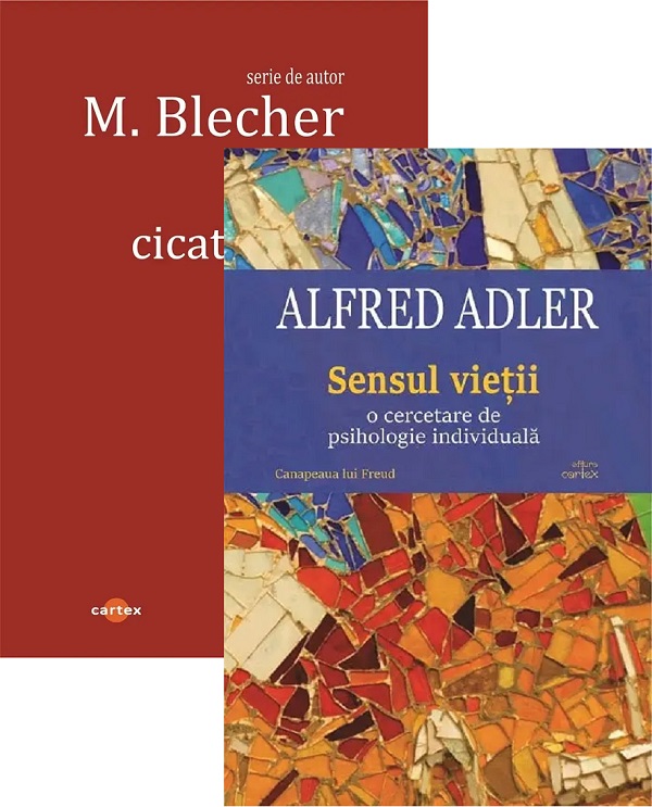 Coperta cărții 'Pachet 2 cărți: Inimi cicatrizate + Sensul vieții - Max Blecher, Alfred Adler'