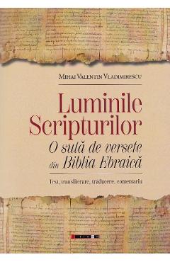 Coperta cărții 'Luminile Scripturilor - Mihai Valentin Vladimirescu'